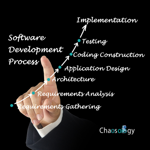 custom software development