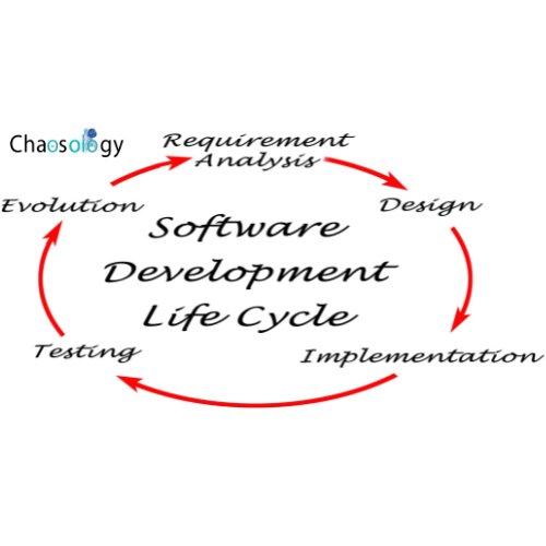 custom software development