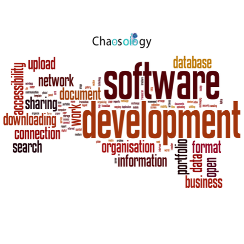 custom software development