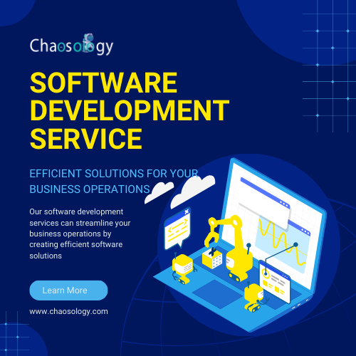 custom software development