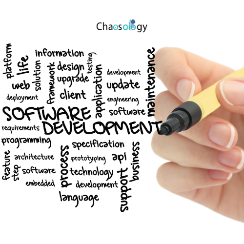 custom software development